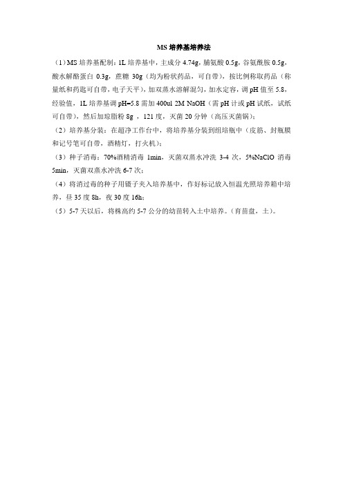 MS培养基发苗法