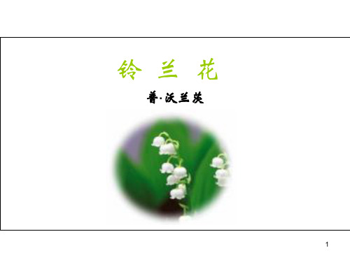 《铃兰花》公开课ppt课件