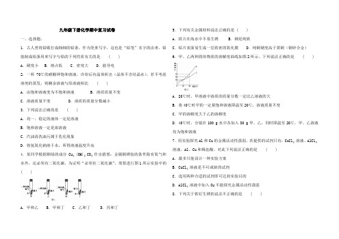 人教版化学九年级下册 期中试卷(含答案)