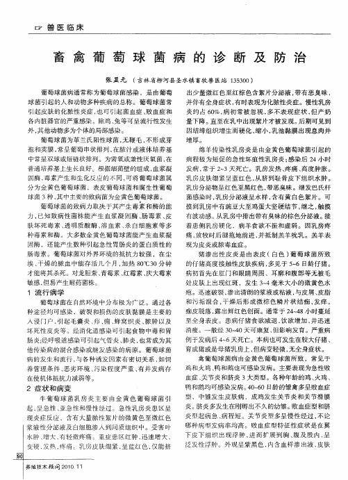畜禽葡萄球菌病的诊断及防治