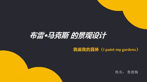 布雷马克思分析