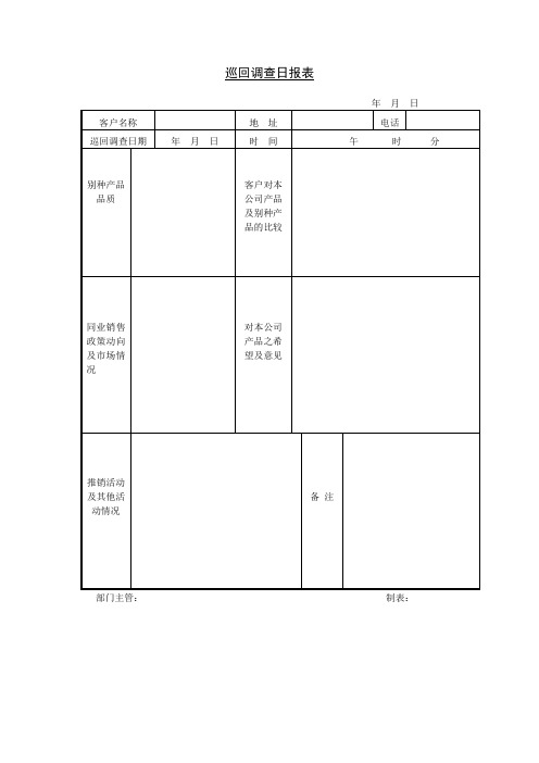 巡回调查日报表