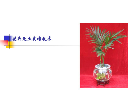 花卉无土栽培技术