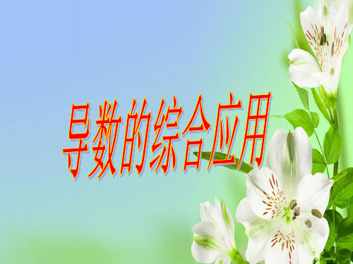导数应用综合112张PPT北师大版选修22