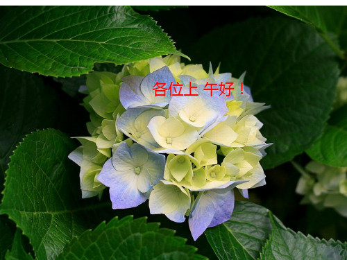 《食品营养学》课件第1章 营养素与能量