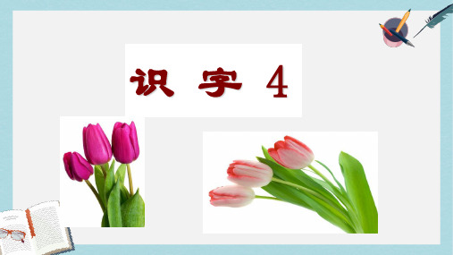 2019年秋季版一年级语文下册识字4课件苏教版