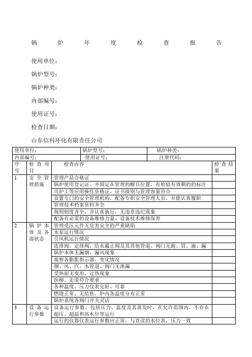 锅炉度检查报告