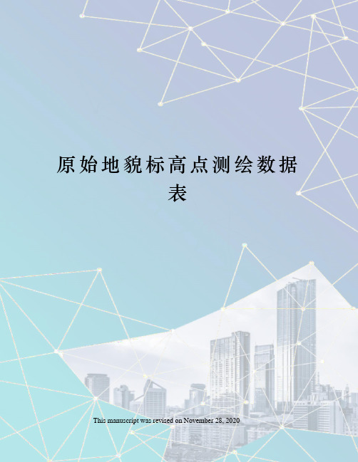 原始地貌标高点测绘数据表