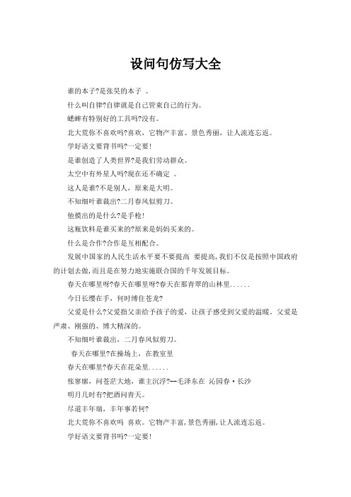 仿写设问句大全