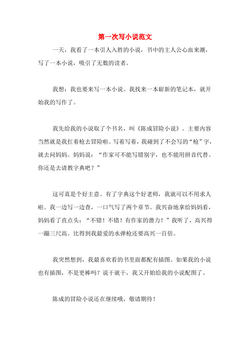 第一次写小说范文