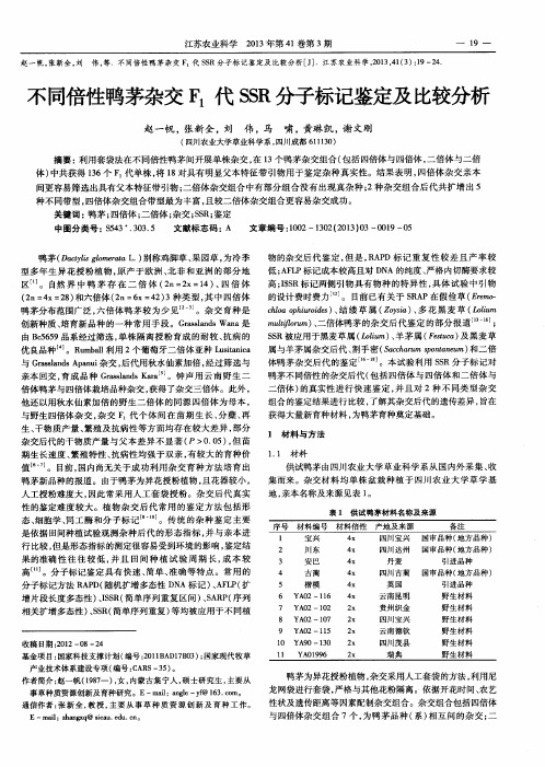 不同倍性鸭茅杂交F_1代SSR分子标记鉴定及比较分析