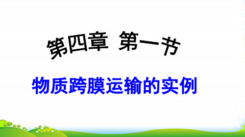 人教版高中生物必修一课件：4.1 物质跨膜运输的实例 (共33张PPT)