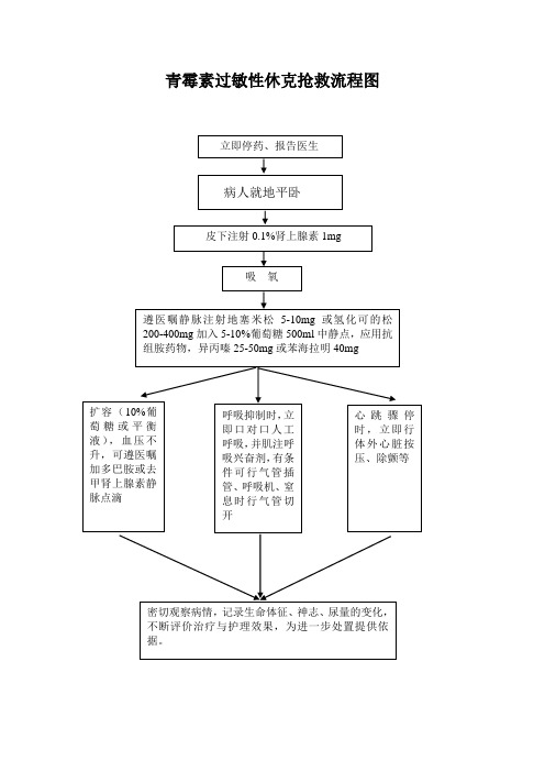 青霉素过敏性休克抢救流程图