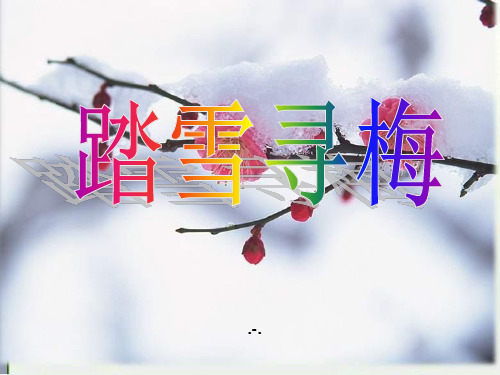 苏教版音乐四上《踏雪寻梅》2PPT课件