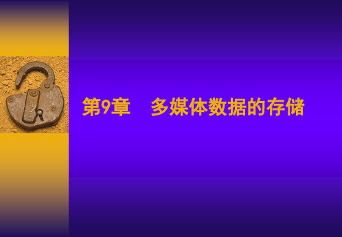 第九章 多媒体数据的存储