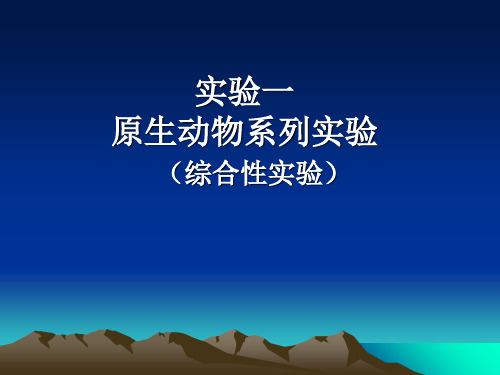 【初中生物】原生动物系列实验PPT课件