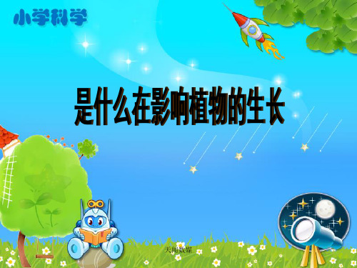 人教部编版 科学 三年级 《是什么在影响植物生长》教学课件