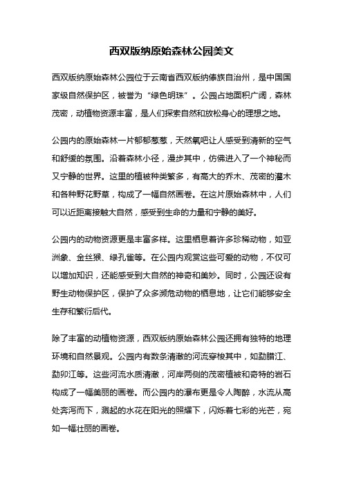 西双版纳原始森林公园美文