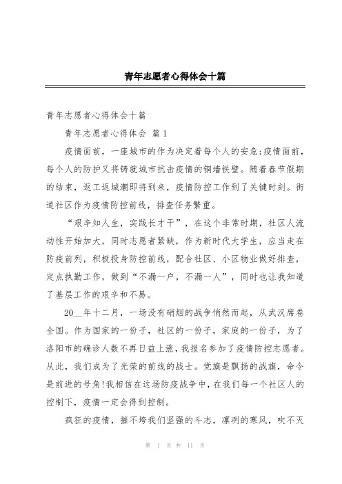 青年志愿者心得体会十篇