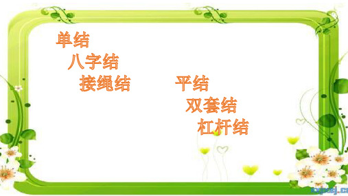 优质课一等奖小学综合实践《奇妙的绳结》 (1)