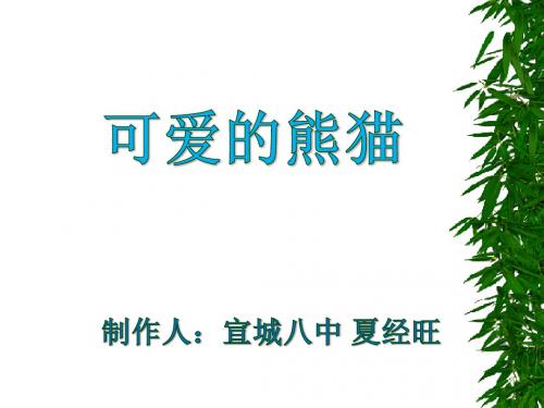 可爱的大熊猫课件