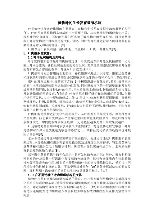 拟南芥基因片段测试