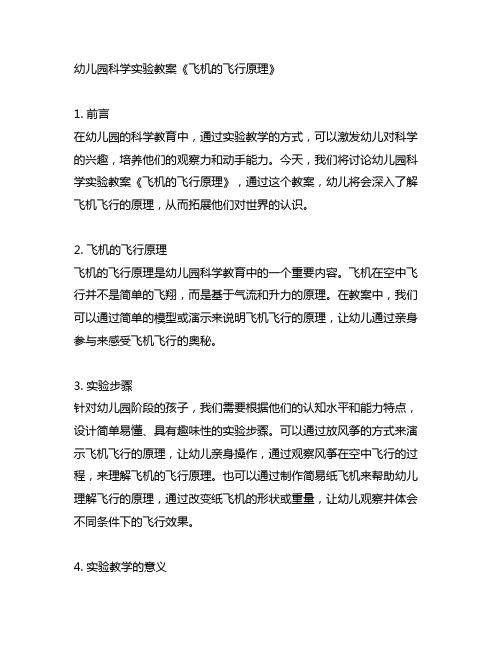幼儿园科学实验教案《飞机的飞行原理》