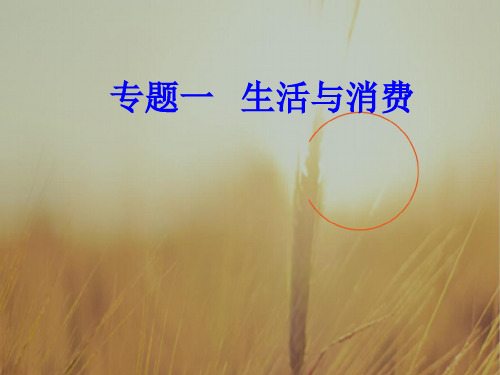 2017-2018学年高中政治学业水平测试课件：专题一考点6树立正确的消费观 精品