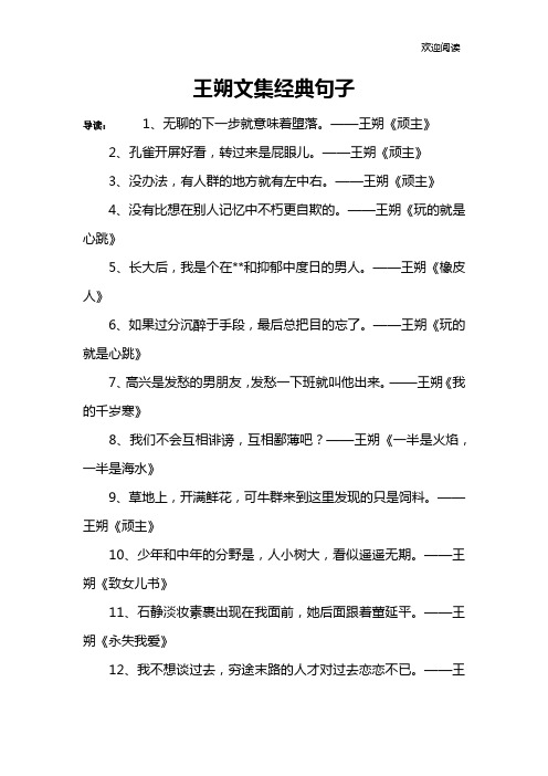 王朔文集经典句子