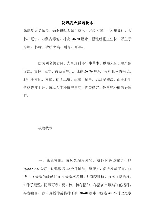 防风高产栽培技术