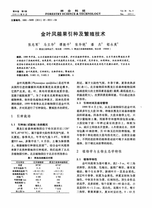 金叶风箱果引种及繁殖技术