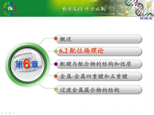 结构化学_第6章_4