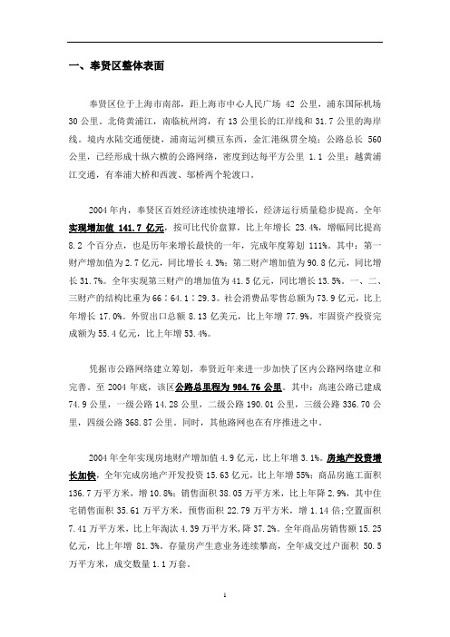 上海奉贤商业项目策划报告