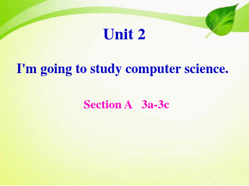 人教英语 七下 Unit2 Section A 3a 3c 课件共25张