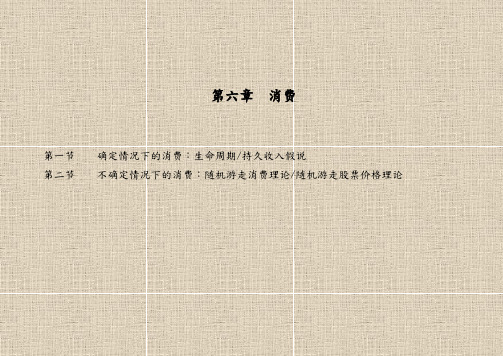 宏观经济学讲义全