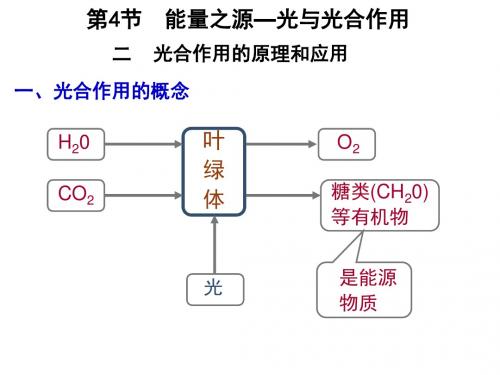 湖南省长沙市第一中学高中生物人教版必修一课件5-4 (3)光合作用的原理和应用