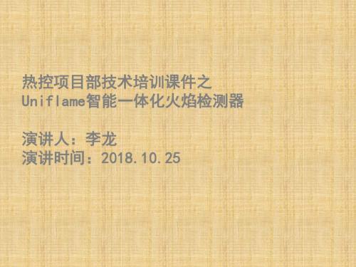 UniFlame火检培训