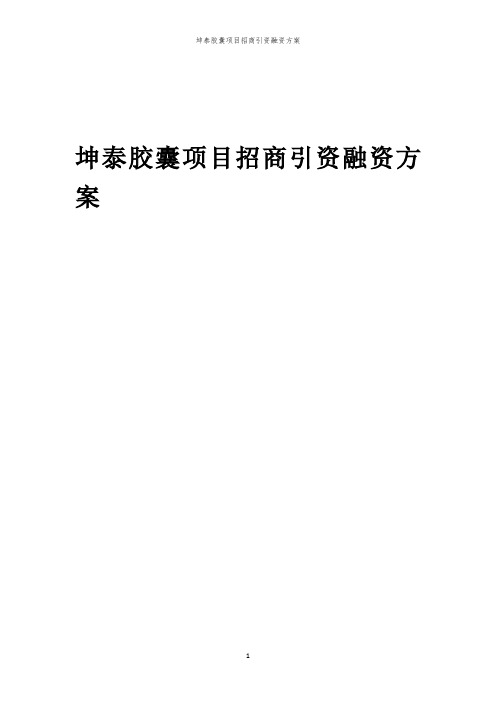 坤泰胶囊项目招商引资融资方案