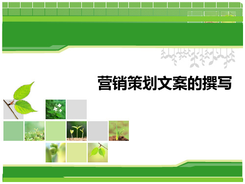营销策划文案的撰写.pptx