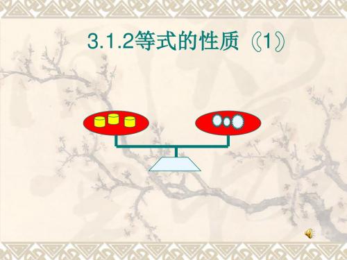 3.1.2等式的性质