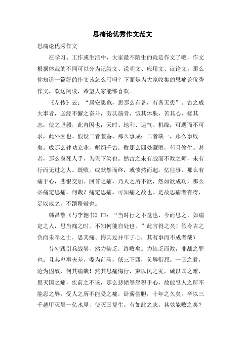 思痛论优秀作文范文