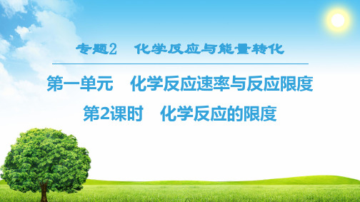 专题2 第1单元 第2课时 化学反应的限度