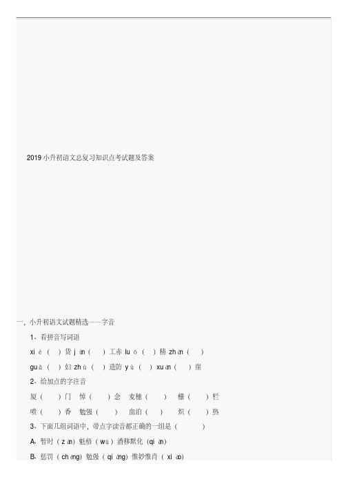 2019小升初语文总复习知识点考试题及答案