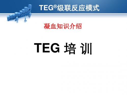 TEG培训1级联反应模式 PPT课件