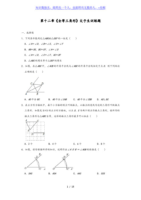_人教版八年级上册第十二章《全等三角形》尖子生训练题(含答案)