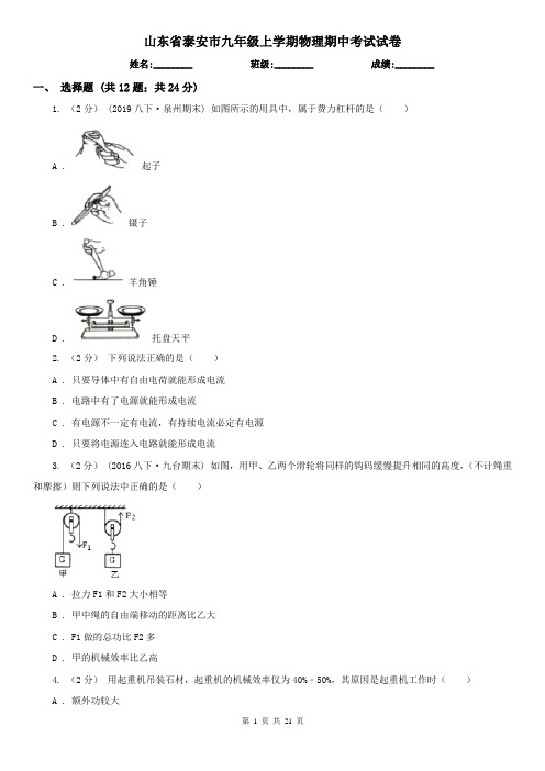 山东省泰安市九年级上学期物理期中考试试卷