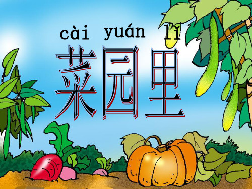《菜园里终极精美版》PPT课件