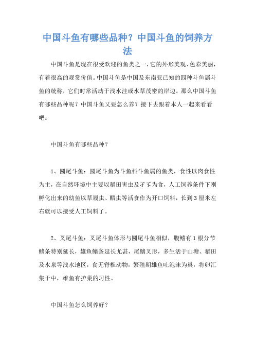 中国斗鱼有哪些品种？中国斗鱼的饲养方法