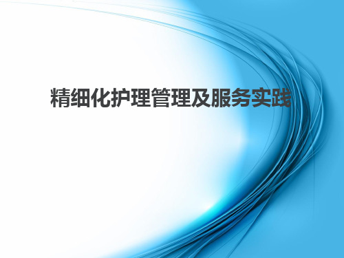 3精细化护理服务新精品PPT课件