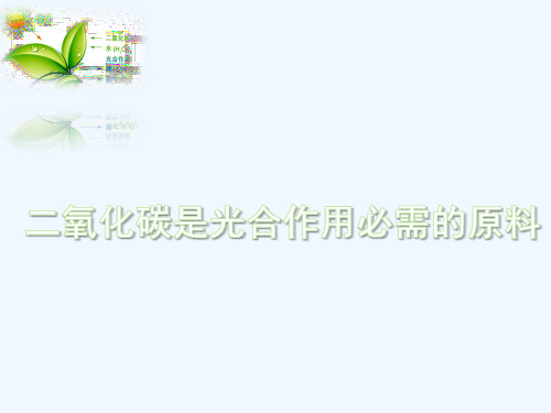 北师大版初中生物七上第三单元5.1《二氧化碳是光合作用必需的原料》 课件 (共26张PPT)